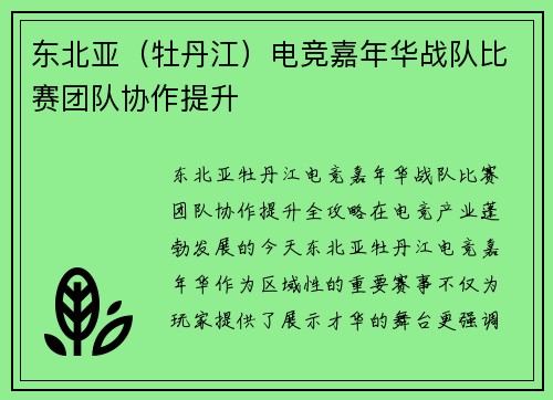 东北亚（牡丹江）电竞嘉年华战队比赛团队协作提升